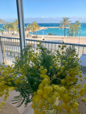Etoile de mer - Menton, Garavan